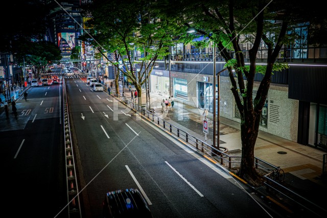 渋谷の夜景（東京都渋谷区）