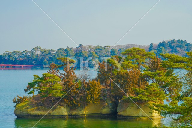 日本三景・松島の風景