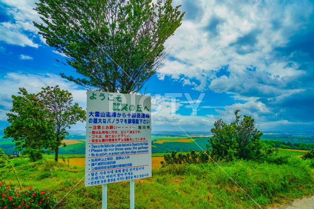 就実の丘（北海道旭川市）