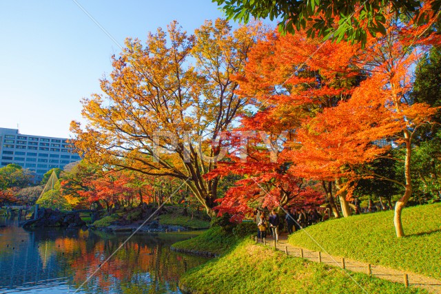 小石川後楽園の紅葉