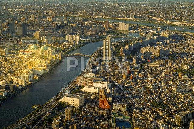 隅田川と東京の街