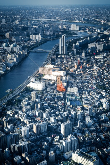 隅田川と東京の街