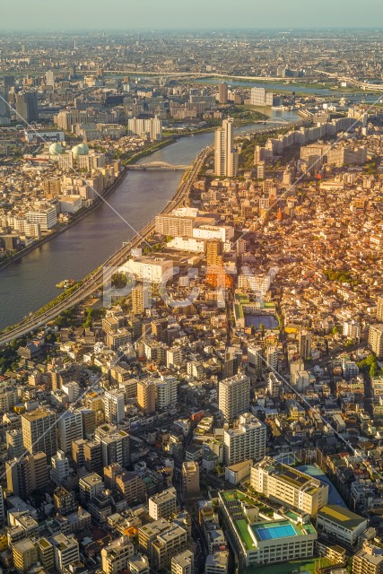 隅田川と東京の街