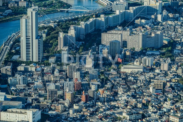 隅田川と東京の街