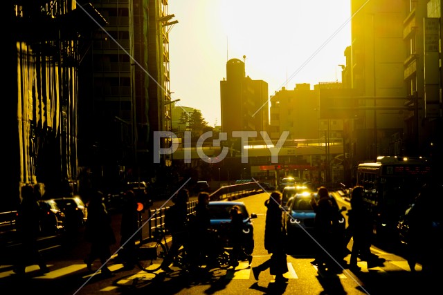 東京都港区の夕暮れ