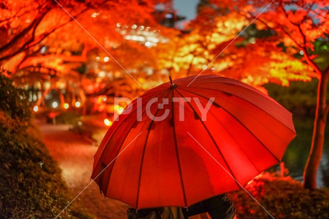 赤い傘と紅葉