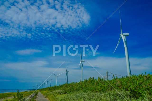 大きな風力発電所（再生可能エネルギー）