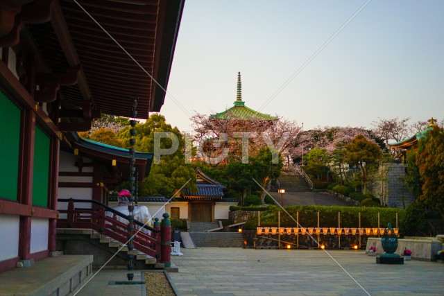 孝道山と夕暮れ