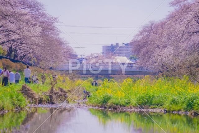 写真のタイトルが入ります