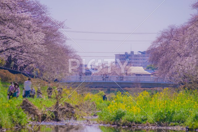 写真のタイトルが入ります