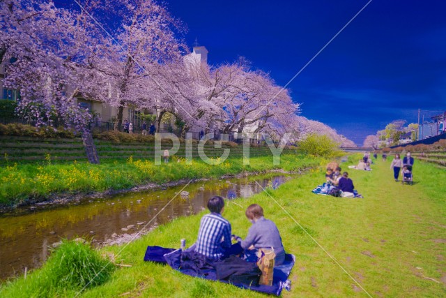 写真のタイトルが入ります