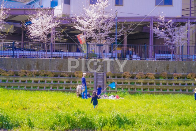 写真のタイトルが入ります