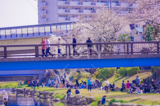 写真のタイトルが入ります