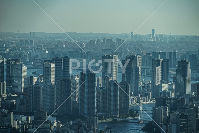 東京の都市越しに見える横浜の街