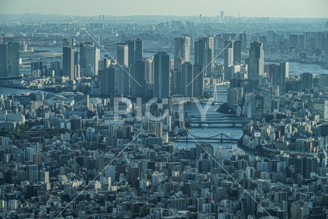 東京の都市越しに見える横浜の街