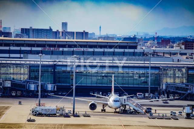 空港の旅客機