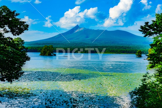 写真のタイトルが入ります