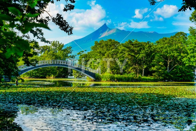 駒ケ岳と大沼国定公園