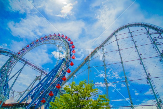 写真のタイトルが入ります