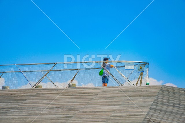 大さん橋と夏空