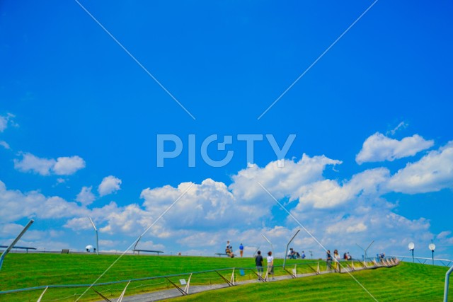 大さん橋と夏空