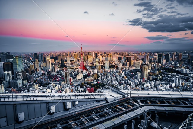 東京都の街並みと東京タワー