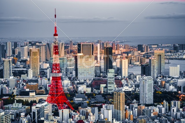 東京都の街並みと東京タワー