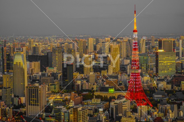 東京都の街並みと東京タワー