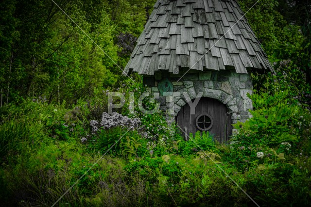 森の中のかわいい小屋