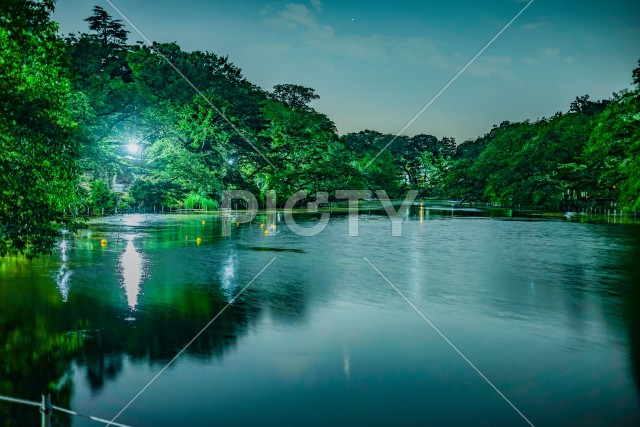 井の頭恩賜公園の夜