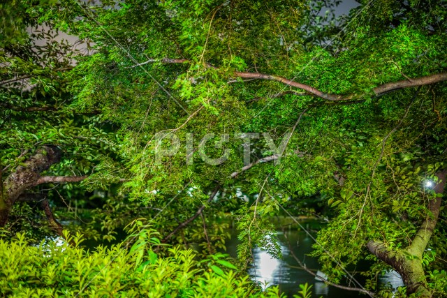 写真のタイトルが入ります