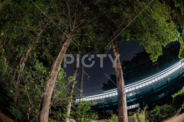 井の頭恩賜公園の夜