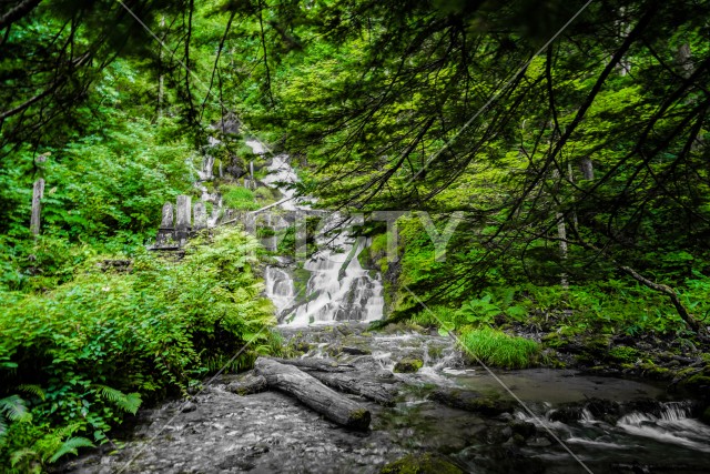 白金不動の滝（北海道美瑛町）