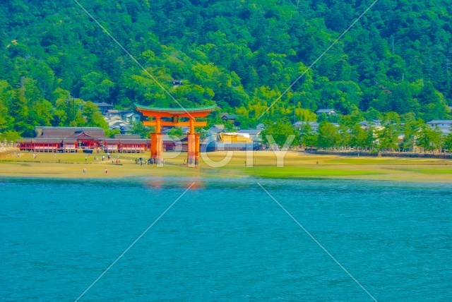 宮島・厳島神社の鳥居