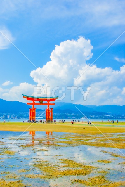 宮島・厳島神社の鳥居