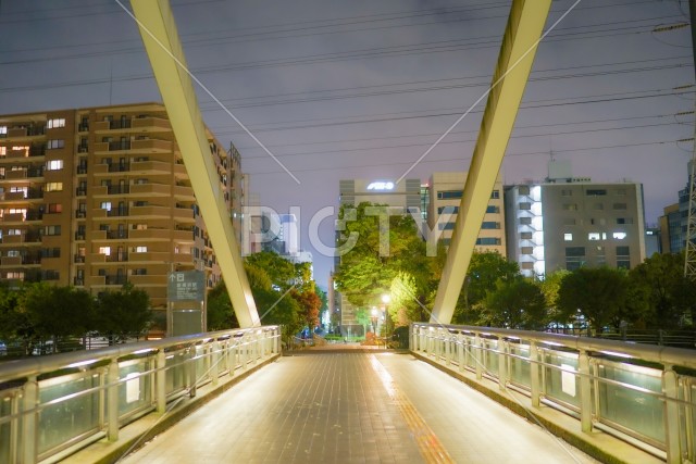 新横浜の風景（新横浜公園）