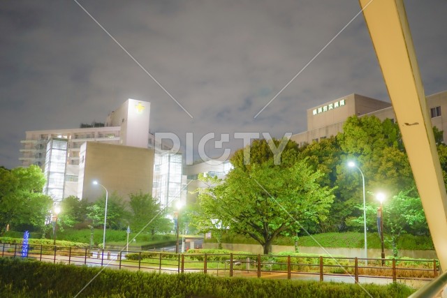 新横浜の風景（新横浜公園）