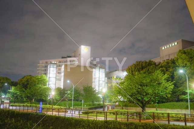 新横浜の風景（新横浜公園）