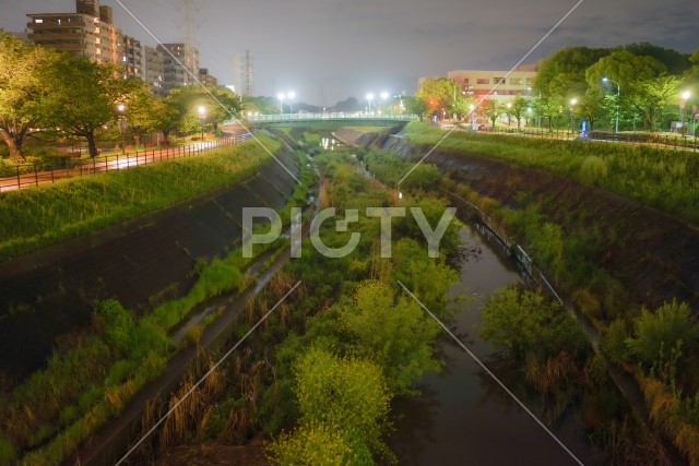 新横浜の風景（新横浜公園）