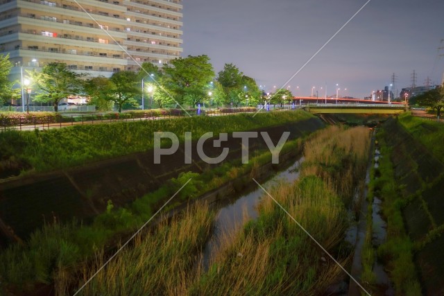 新横浜の風景（新横浜公園）