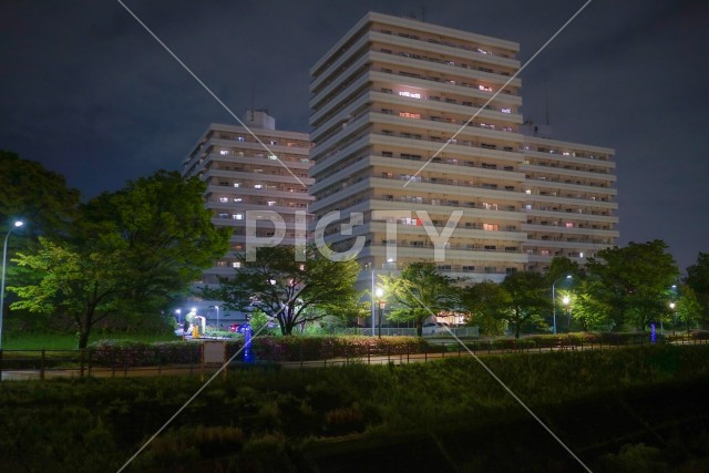 新横浜の風景（新横浜公園）