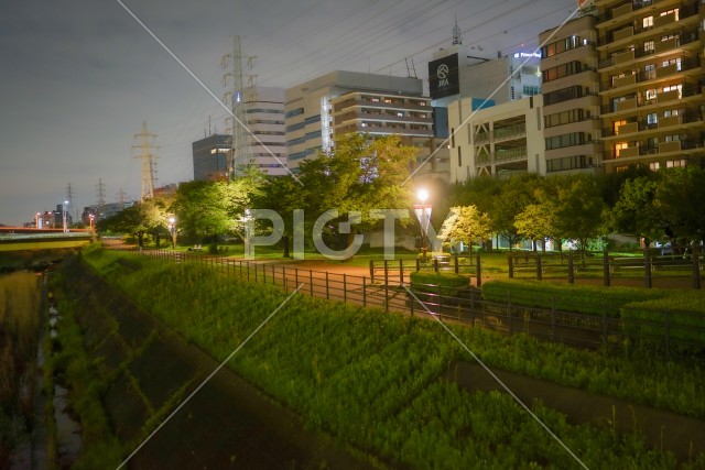 新横浜の風景（新横浜公園）