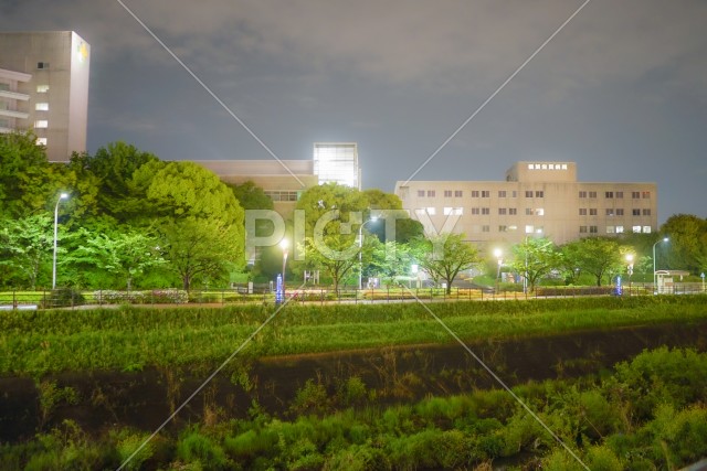 新横浜の風景（新横浜公園）