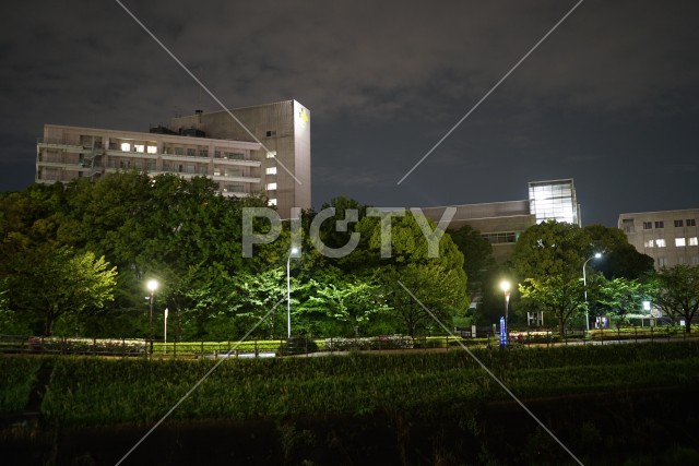 新横浜の風景（新横浜公園）