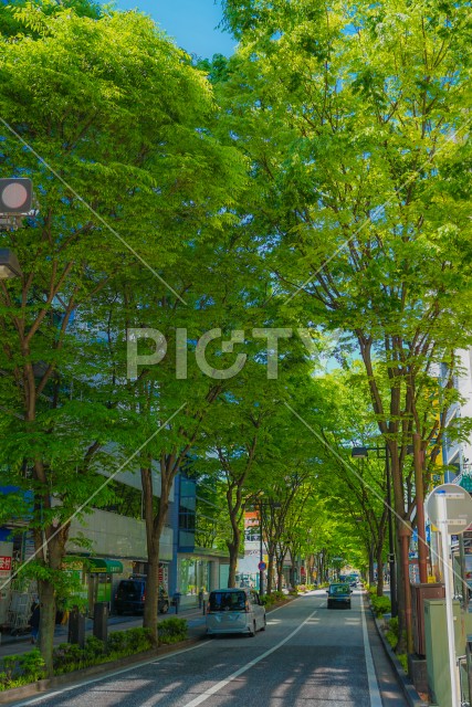 新横浜の風景