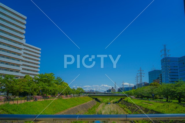 新横浜の風景（新横浜公園）