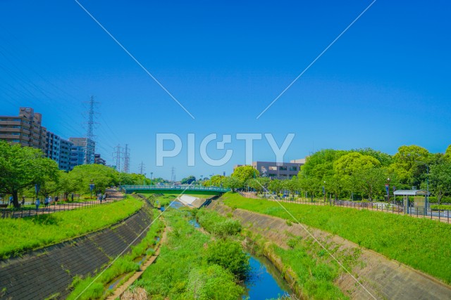 新横浜の風景（新横浜公園）