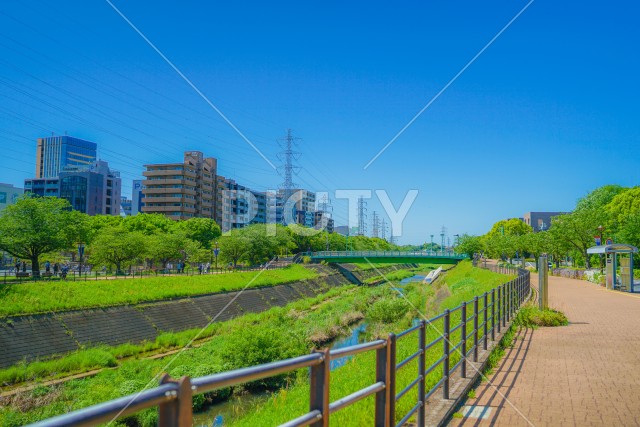 新横浜の風景（新横浜公園）