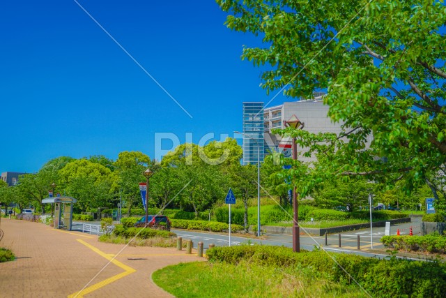 新横浜の風景（新横浜公園）