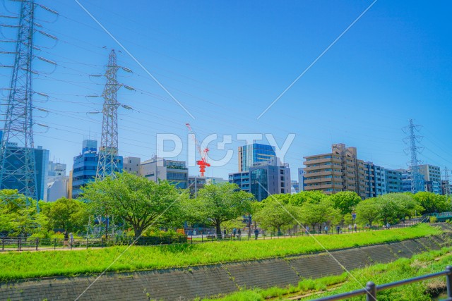 新横浜の風景（新横浜公園）